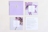 Lavender Handmade Soap Bars – Natural Vegan Set of 2